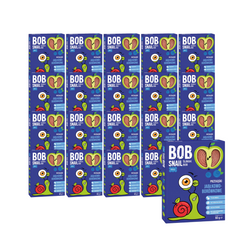 SET 20 x Snack alla frutta con mela e mirtillo senza zuccheri aggiunti 60 g