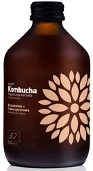 Kombucha pesca e lemongrass biologico 330 ml – Vigo