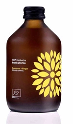 Kombucha Curcuma e Zenzero Biologico 330 ml – Vigo