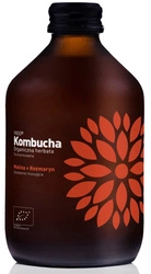 Kombucha lampone e rosmarino Biologico 330 ml – Vigo