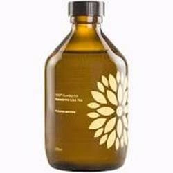 Kombucha zenzero e acerola Biologico 330 ml – Vigo