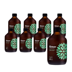 SET 8 x Kombucha cetriolo+coriandolo bio 315 ml